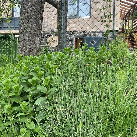 Lilako アパート *